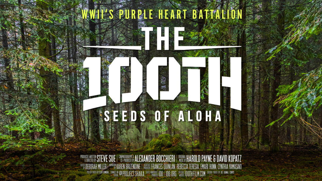 Unveiled: 100TH Film Poster